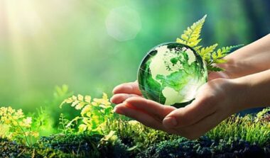 Imagen de portada para Environmental Education: a response to the environmental crisis